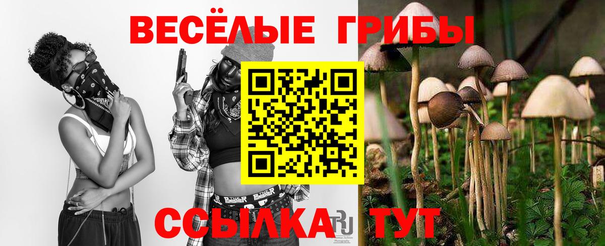 Павлово  Псилоцибиновые грибы ЛСД  Вход с VPN 