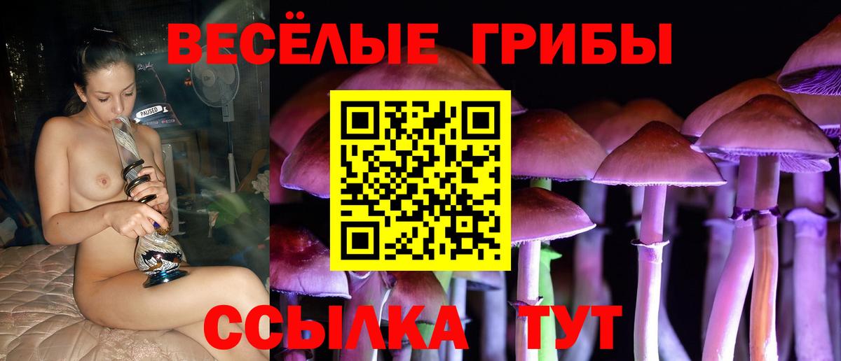 Галлюциногенные грибы Psilocybe Павлово